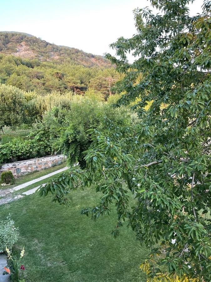 Bujtina Bezhani Gjinar 爱尔巴桑 外观 照片